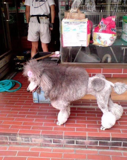 b:a - picdump 25.07.07