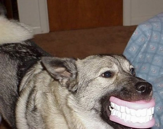 b:a - picdump 25.07.07