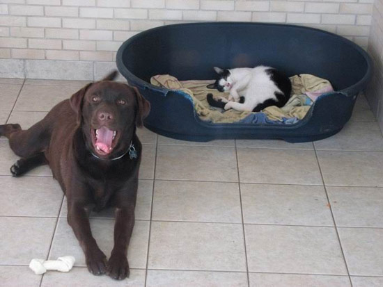 b:a - picdump 10.08.07