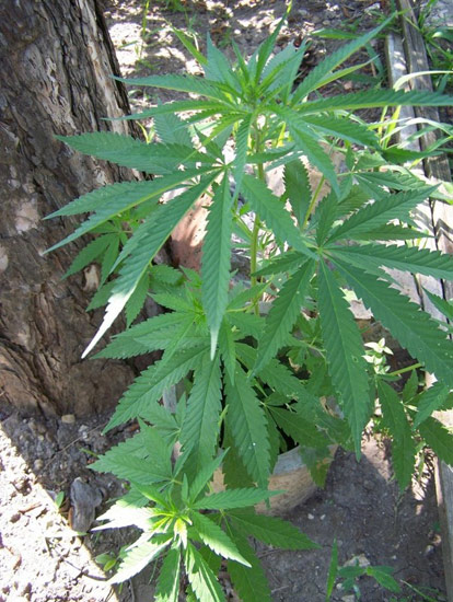 b:a - picdump 10.08.07