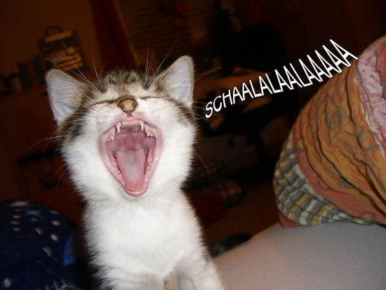 b:a - picdump 06.09.07