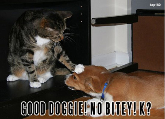 b:a - picdump 06.09.07