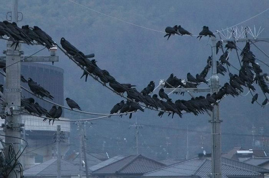 b:a - picdump 06.09.07