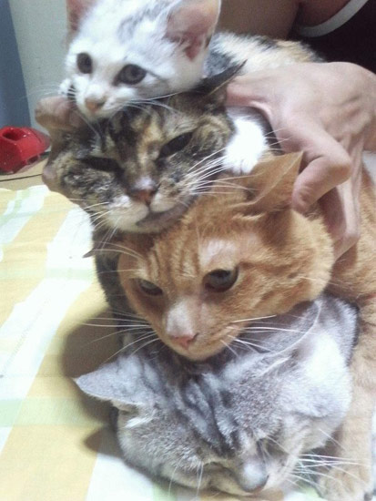 b:a - picdump 06.09.07