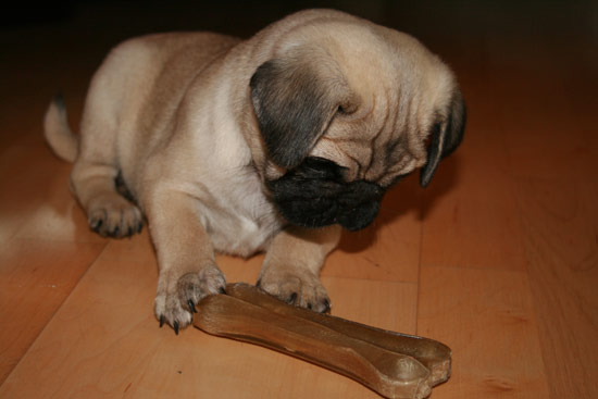 b:a - picdump 14.09.07