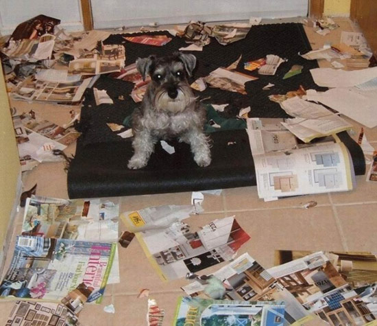 b:a - picdump 14.09.07