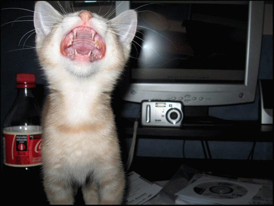 b:a - picdump 14.09.07