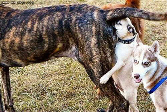 b:a - picdump 05.10.07