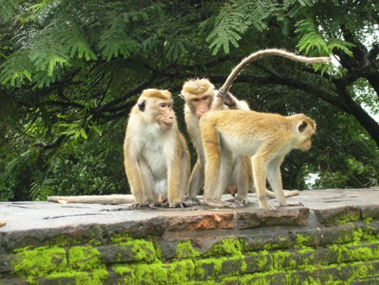 b:a - picdump 05.10.07