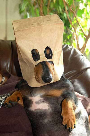 b:a - picdump 05.10.07