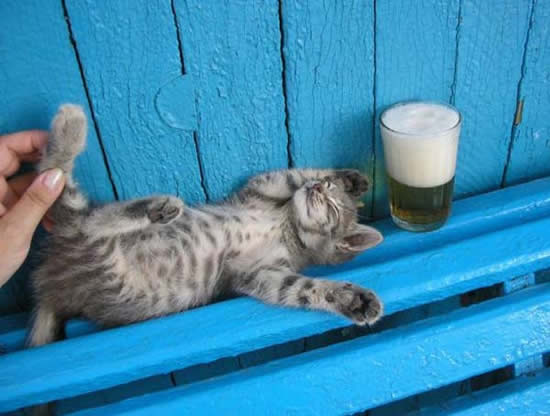 b:a - picdump 05.10.07