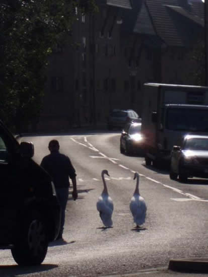 b:a - picdump 05.10.07