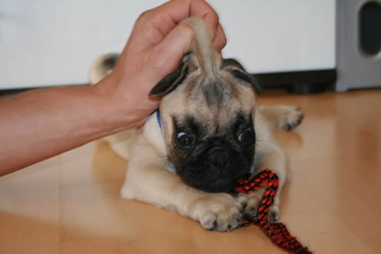 b:a - picdump 12.10.07