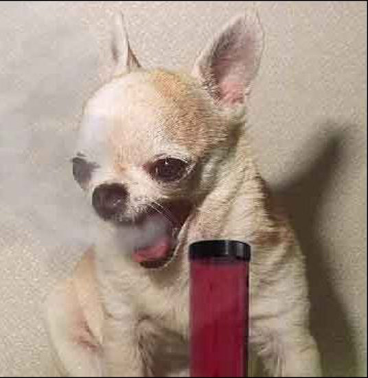 b:a - picdump 12.10.07