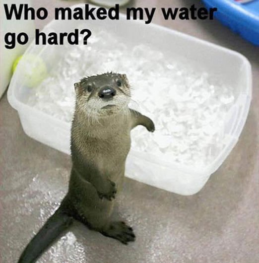 b:a - picdump 19.10.07