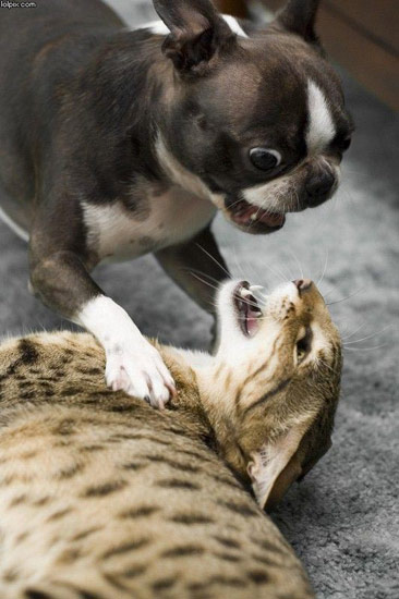 b:a - picdump 19.10.07