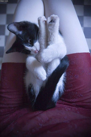 b:a - picdump 19.10.07