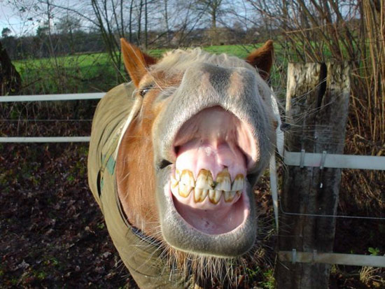 b:a - picdump 02.11.07