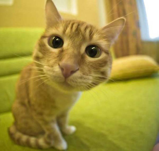 b:a - picdump 16.11.07