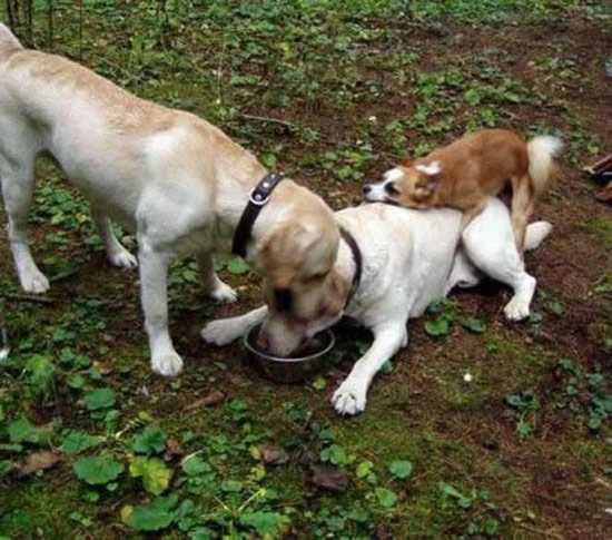 b:a - picdump 16.11.07