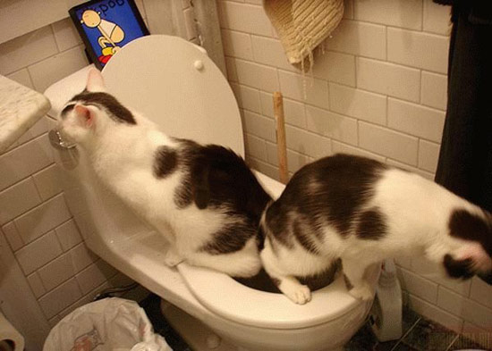 Bildschirmarbeiter - Picdump 23.11.07