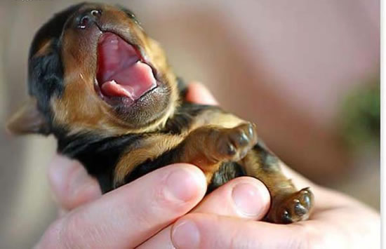 Bildschirmarbeiter - Picdump 23.11.07