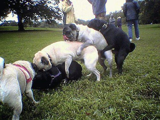 Bildschirmarbeiter - Picdump 23.11.07