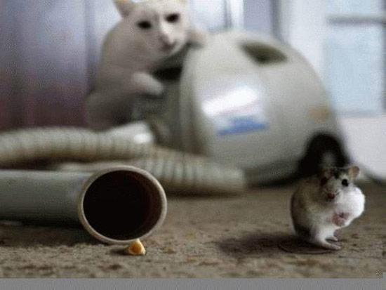 Bildschirmarbeiter - Picdump 30.11.07