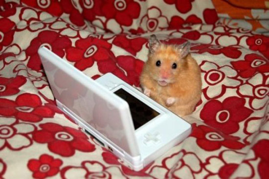 Bildschirmarbeiter - Picdump 30.11.07