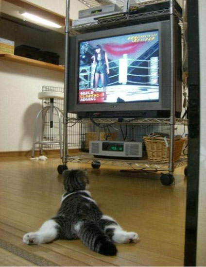 Bildschirmarbeiter - Picdump 30.11.07