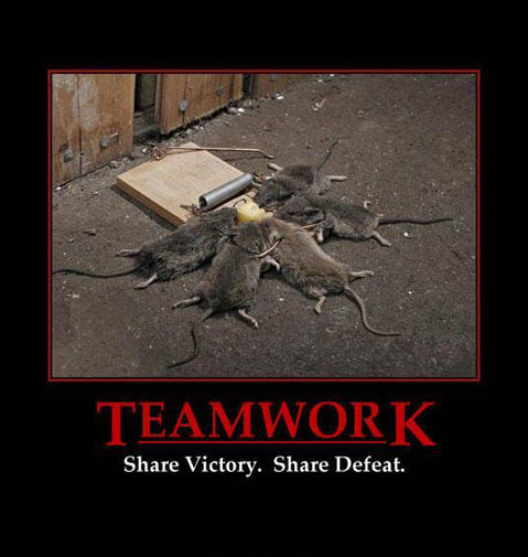 Bildschirmarbeiter - Picdump 07.12.07