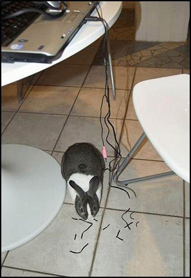 Bildschirmarbeiter - Picdump 07.12.07