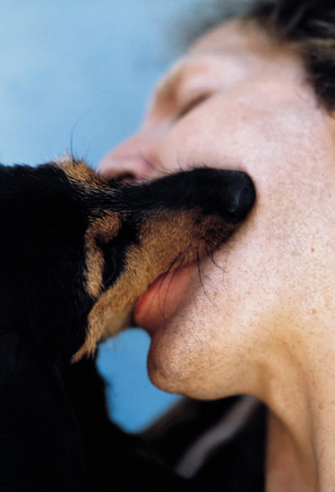 Bildschirmarbeiter - Picdump 13.12.07