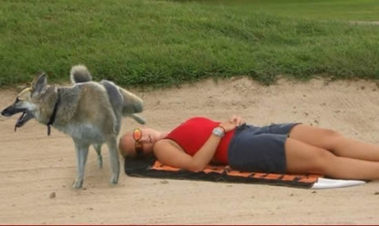 Bildschirmarbeiter - Picdump 13.12.07