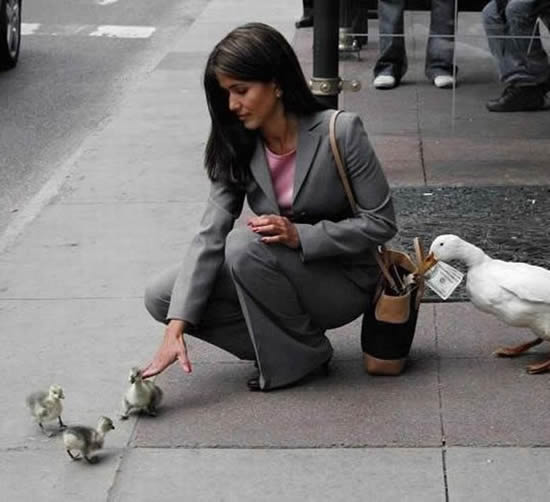 Bildschirmarbeiter - Picdump 13.12.07