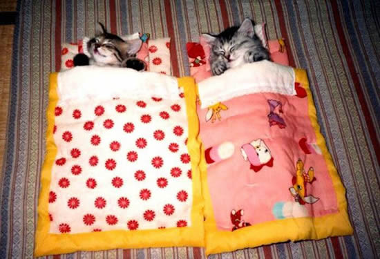 Bildschirmarbeiter - Picdump 13.12.07