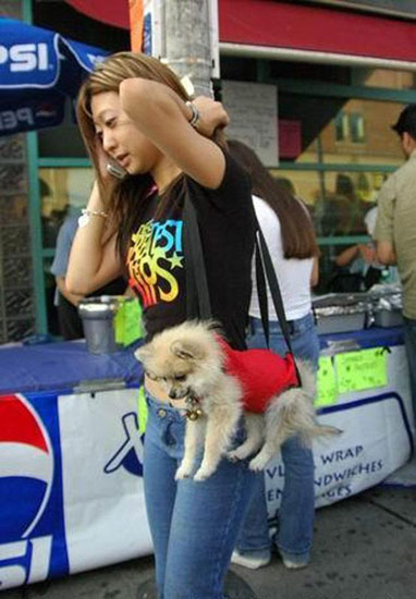 Bildschirmarbeiter - Picdump 20.12.07