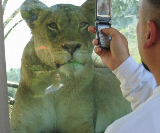 Bildschirmarbeiter - Picdump 20.12.07