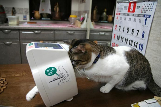 Bildschirmarbeiter - Picdump 19.01.08