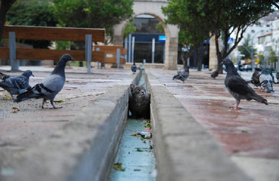 Bildschirmarbeiter - Picdump 19.01.08