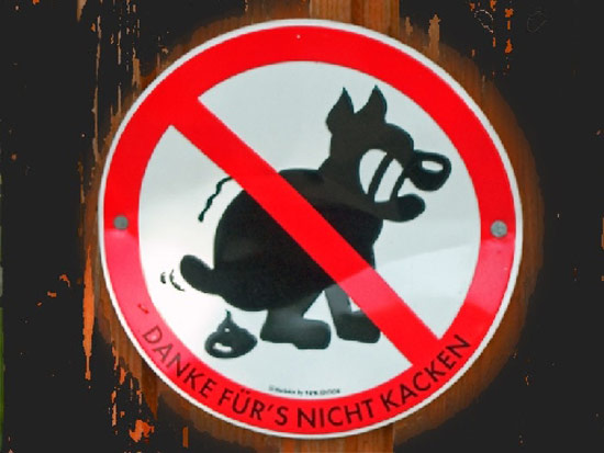 Bildschirmarbeiter - Picdump 19.01.08