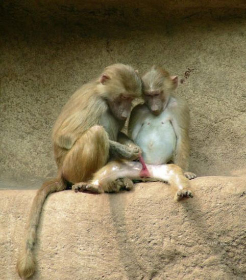 Bildschirmarbeiter - Picdump 19.01.08