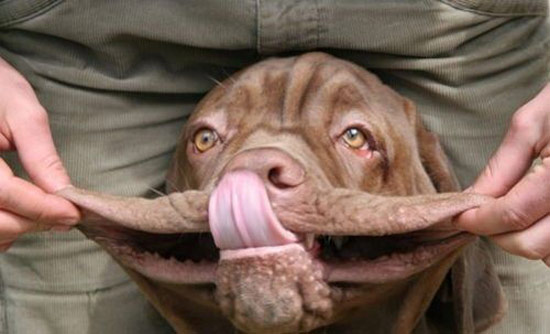 Bildschirmarbeiter - Picdump 19.01.08