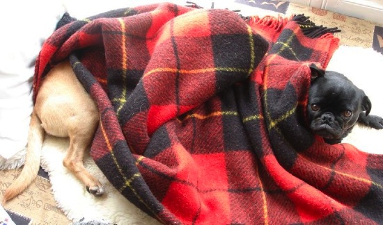 Bildschirmarbeiter - Picdump 29.02.08