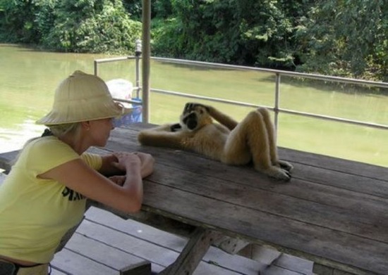 Bildschirmarbeiter - Picdump 29.02.08