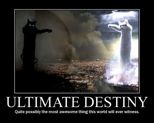 Bildschirmarbeiter - Picdump 29.02.08