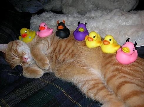 Bildschirmarbeiter - Picdump 14.03.08