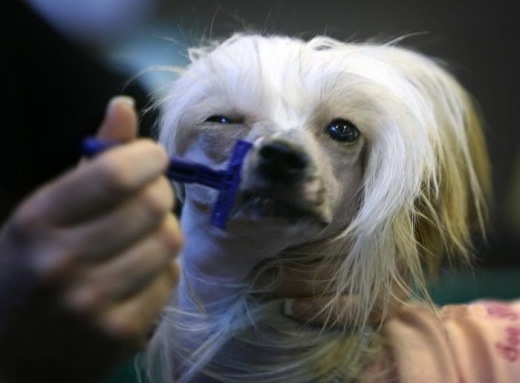 Bildschirmarbeiter - Picdump 14.03.08