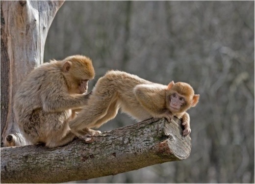 Bildschirmarbeiter - Picdump 28.03.08