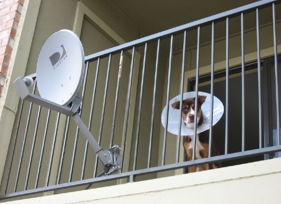 Bildschirmarbeiter - Picdump 22.04.08